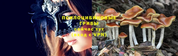 мяу мяу мука Горняк