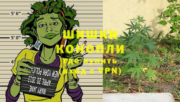 мяу мяу мука Горняк