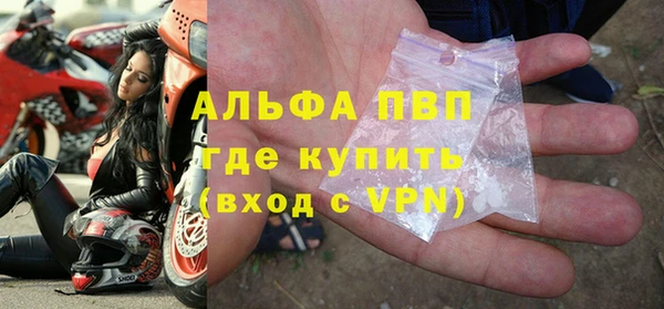 мяу мяу мука Горняк