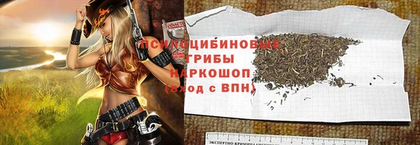 a pvp Горнозаводск