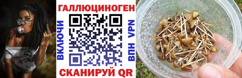 Купить закладки  Нижний Ломов  Псилоцибиновые грибы прущие грибы 